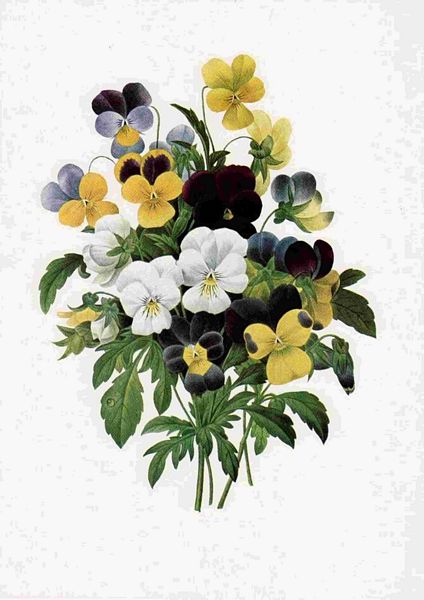 Fountain of Flowers - Set 20. 74 Pages to DOWNLOAD